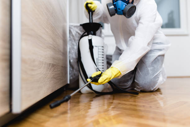 Best Termite Control Services  in Wernersville, PA