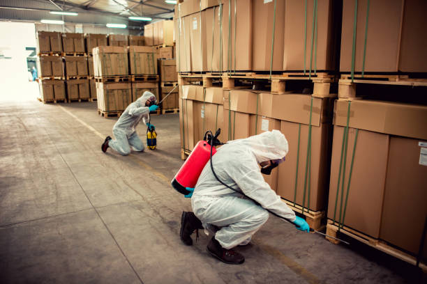 Best Pest Control Near Me  in Wernersville, PA