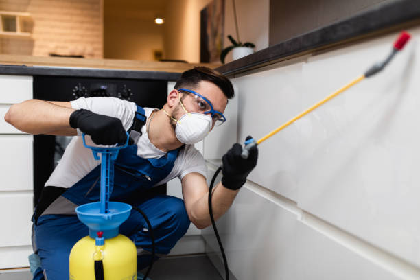 Best Wildlife Control Services  in Wernersville, PA