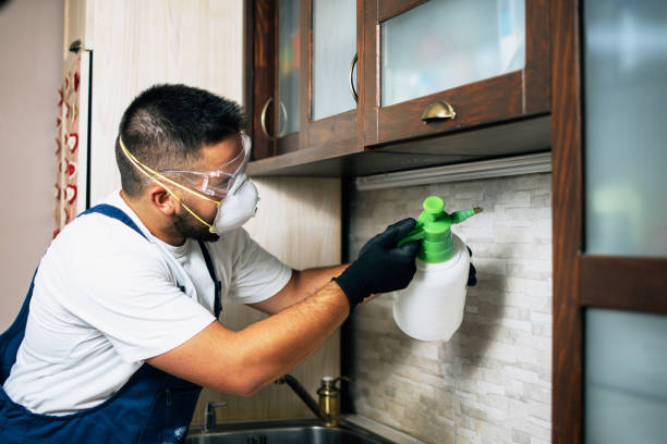 Trusted Wernersville, PA Pest Control Experts