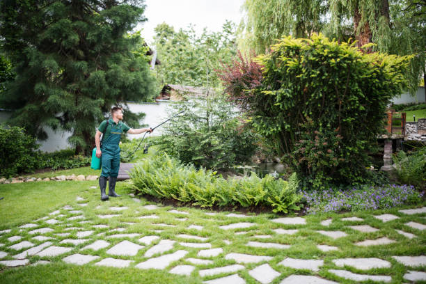 Best Wasp Removal Services  in Wernersville, PA