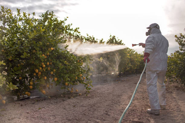 Pest Prevention Services in Wernersville, PA