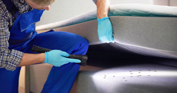 Best Pest Control for Restaurants  in Wernersville, PA