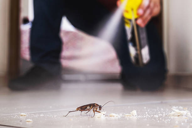 Best Commercial Pest Control Services  in Wernersville, PA